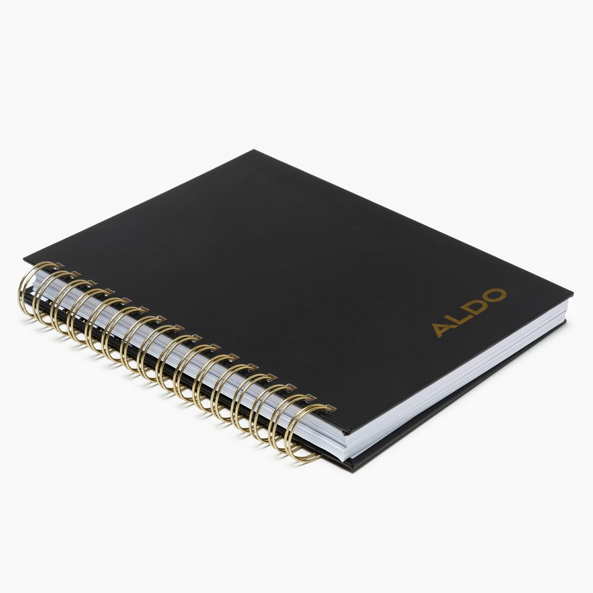 ALDO - Jereabeth Agenda Unisex Negra Aldo