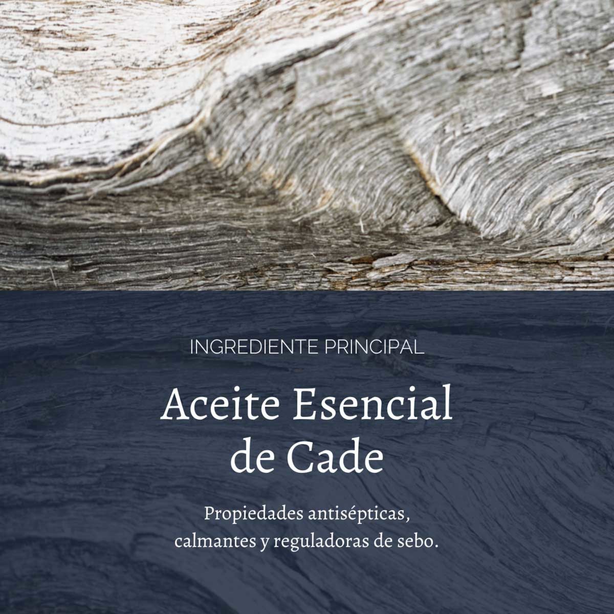 LOCCITANE - Gel-Espuma de Afeitar Cade 150 ml LOCCITANE