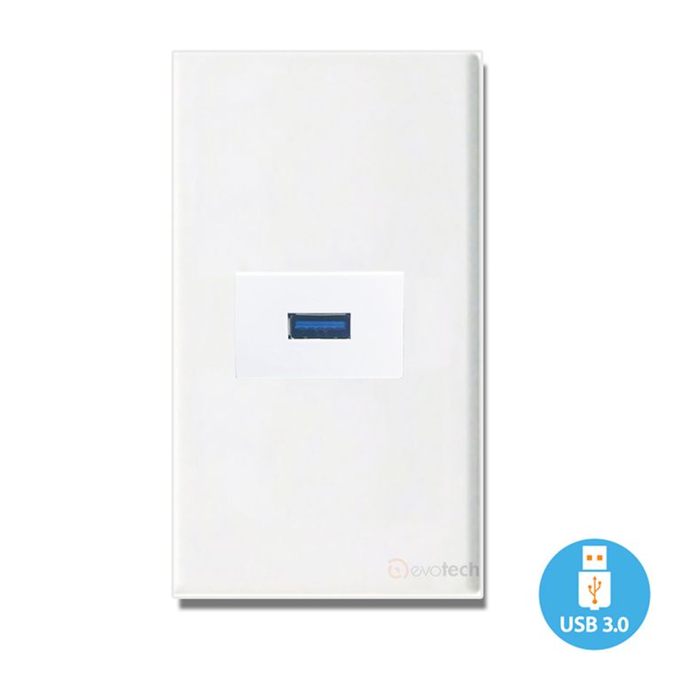 GENERICO PLACA MURO 1 MODULO USB 3.0, CON CHICOTE DE 30cm