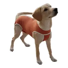 KIMBA - Body Cobre Original Para Perros Y Gatos De 3.5 Kg A 4.5 Kg