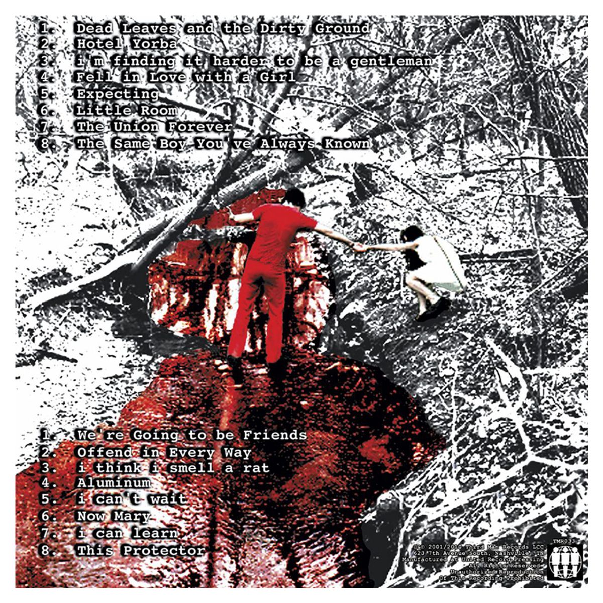 GENERICO - The White Stripes - White Blood Cells Vinilo