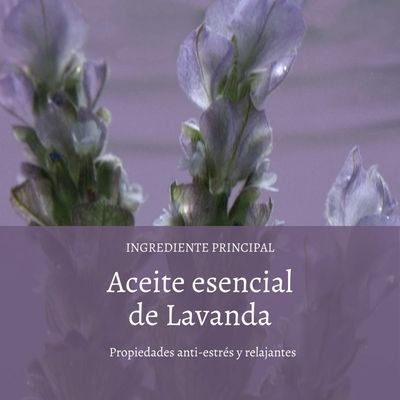 Imagen 2 del producto Leche de Cuerpo Lavanda Blanca 250 ml