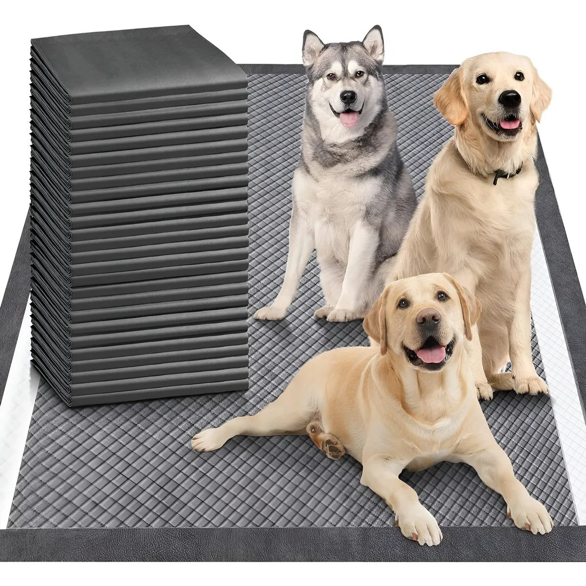 EVERSO - 100 Pañales Tipo Sabanillas Mascotas Perros Xl 90x60 Cm