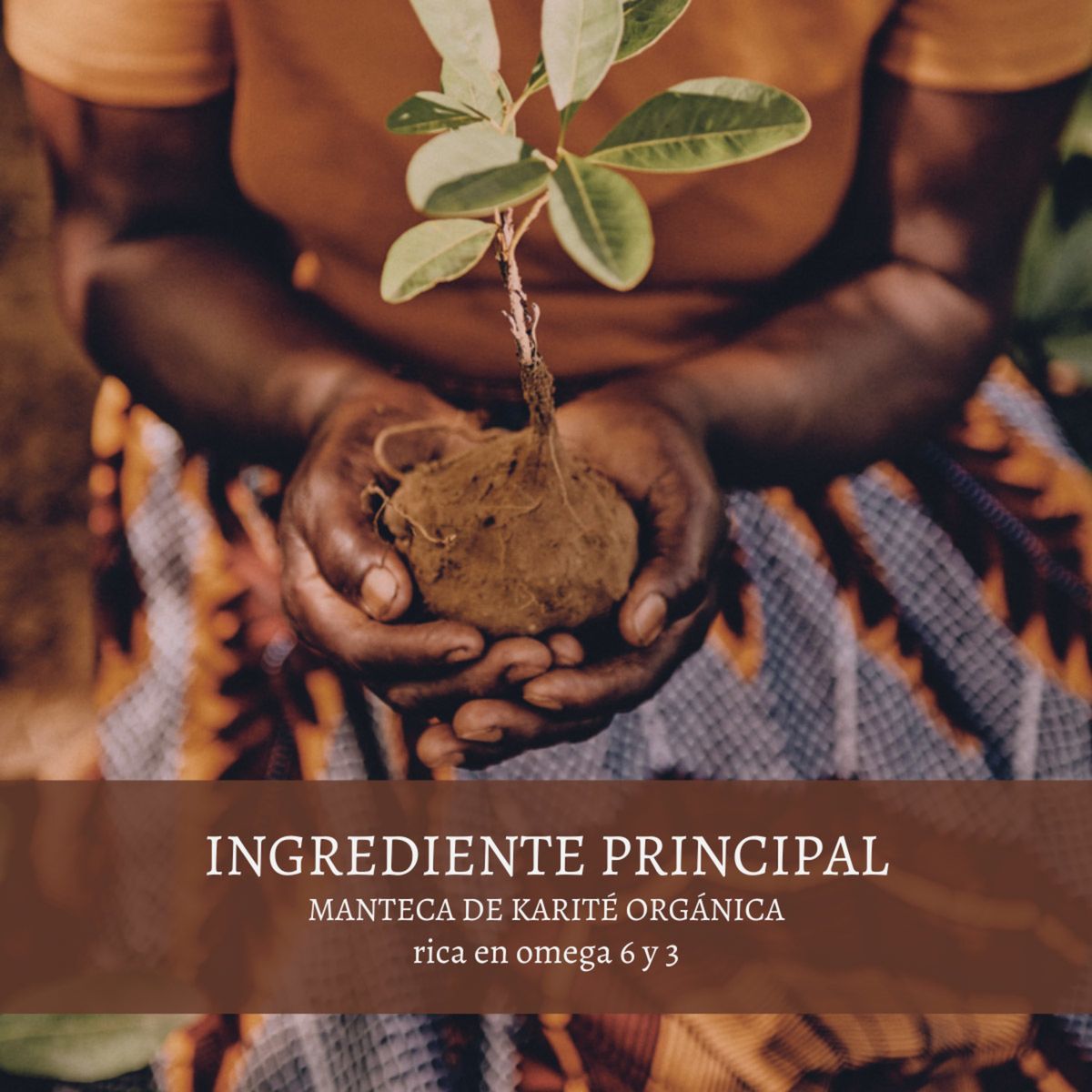 LOCCITANE - Crema de Ducha Ultra Rich Karité 250 ml LOCCITANE