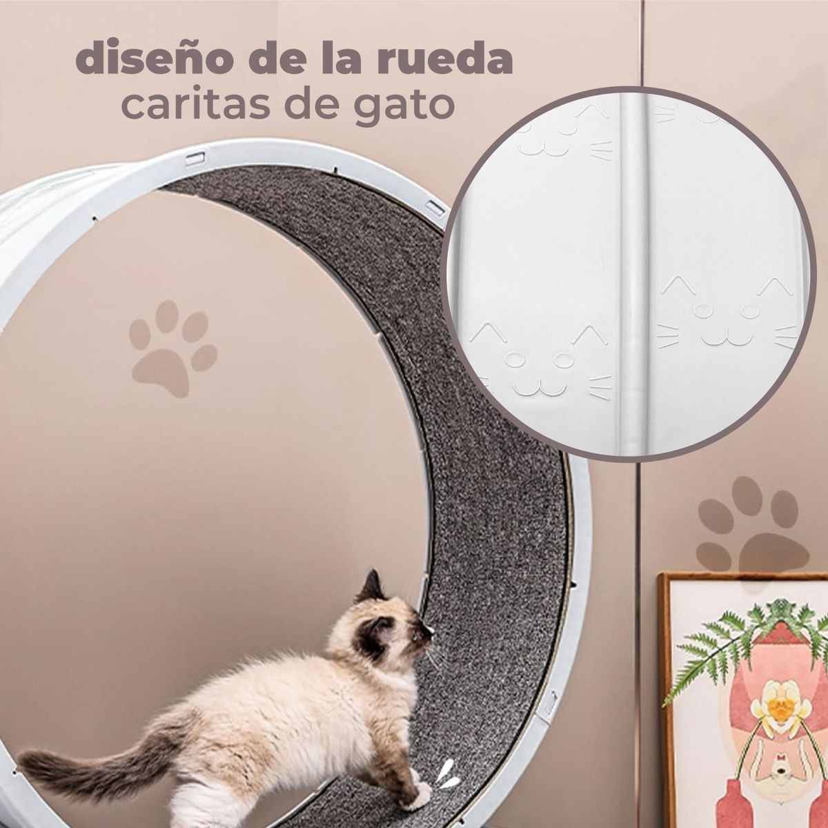 LITTLE PETS - Rueda Para Gato Segura XXL de Entrenamiento