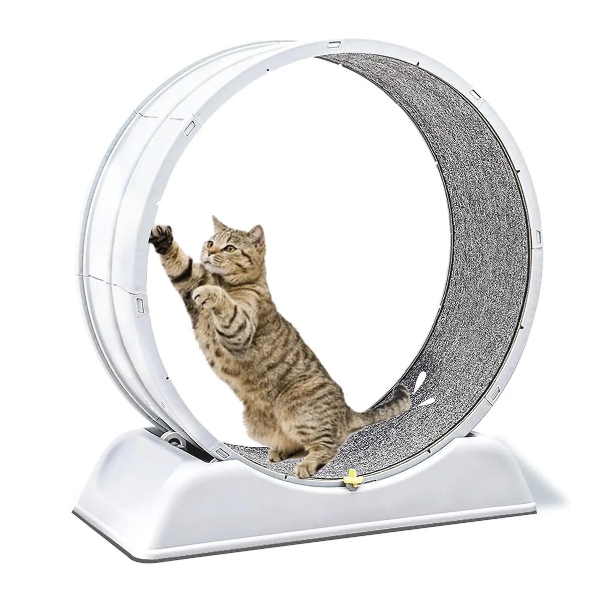 LITTLE PETS - Rueda Para Gato Segura XXL de Entrenamiento