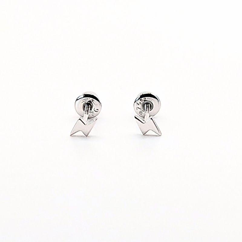 TIANA JOYAS - Aros de Rayo de Plata 925