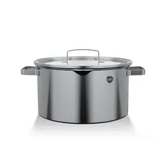 WENS - Cacerola Olla Acero Inoxidable De Cocina Con Tapa 24Cm