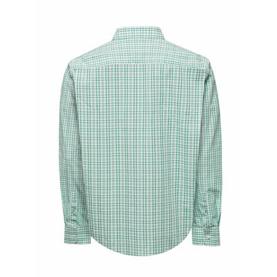 Imagen 2 del producto Camisa Algodón Orgánico Hombre Lighter Verde
