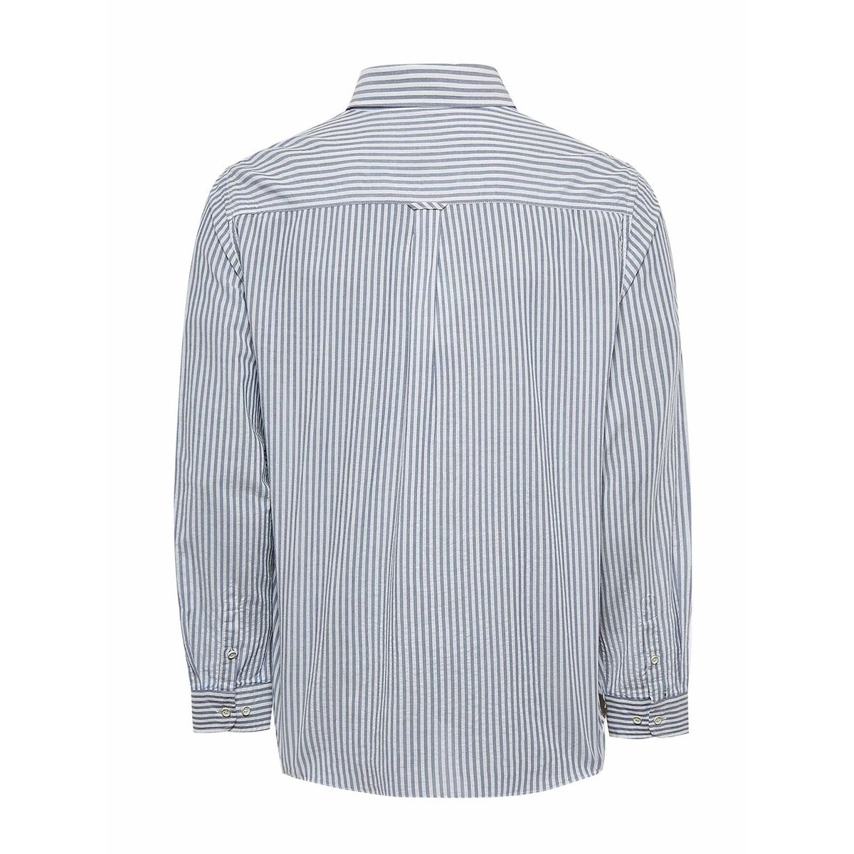 ROCKFORD - Camisa Algodón Orgánico Hombre Raya Azul ROCKFORD