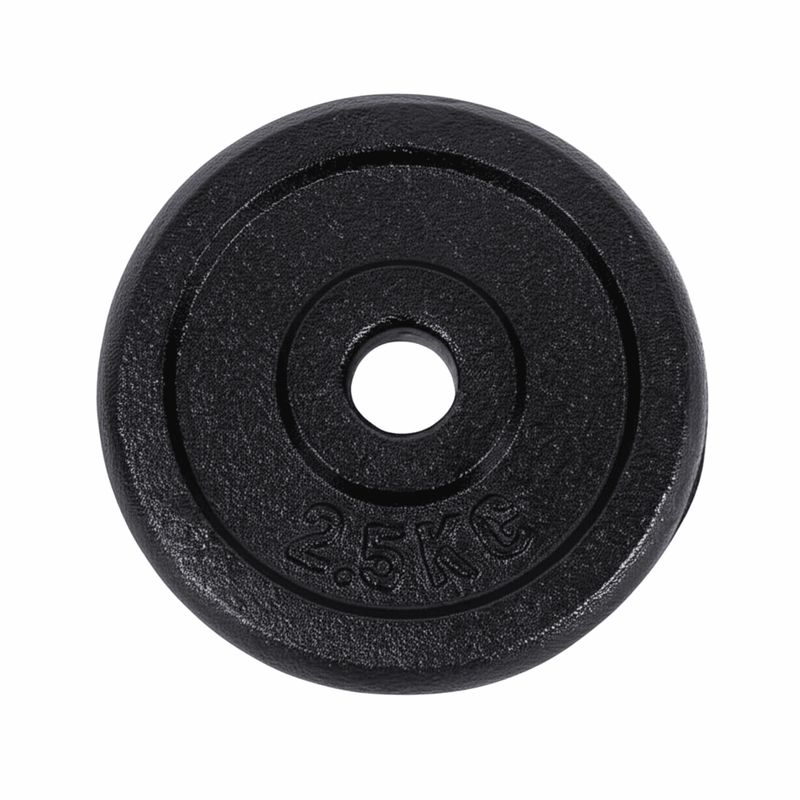 DALI - Disco pre olímpico 2,5 kg
