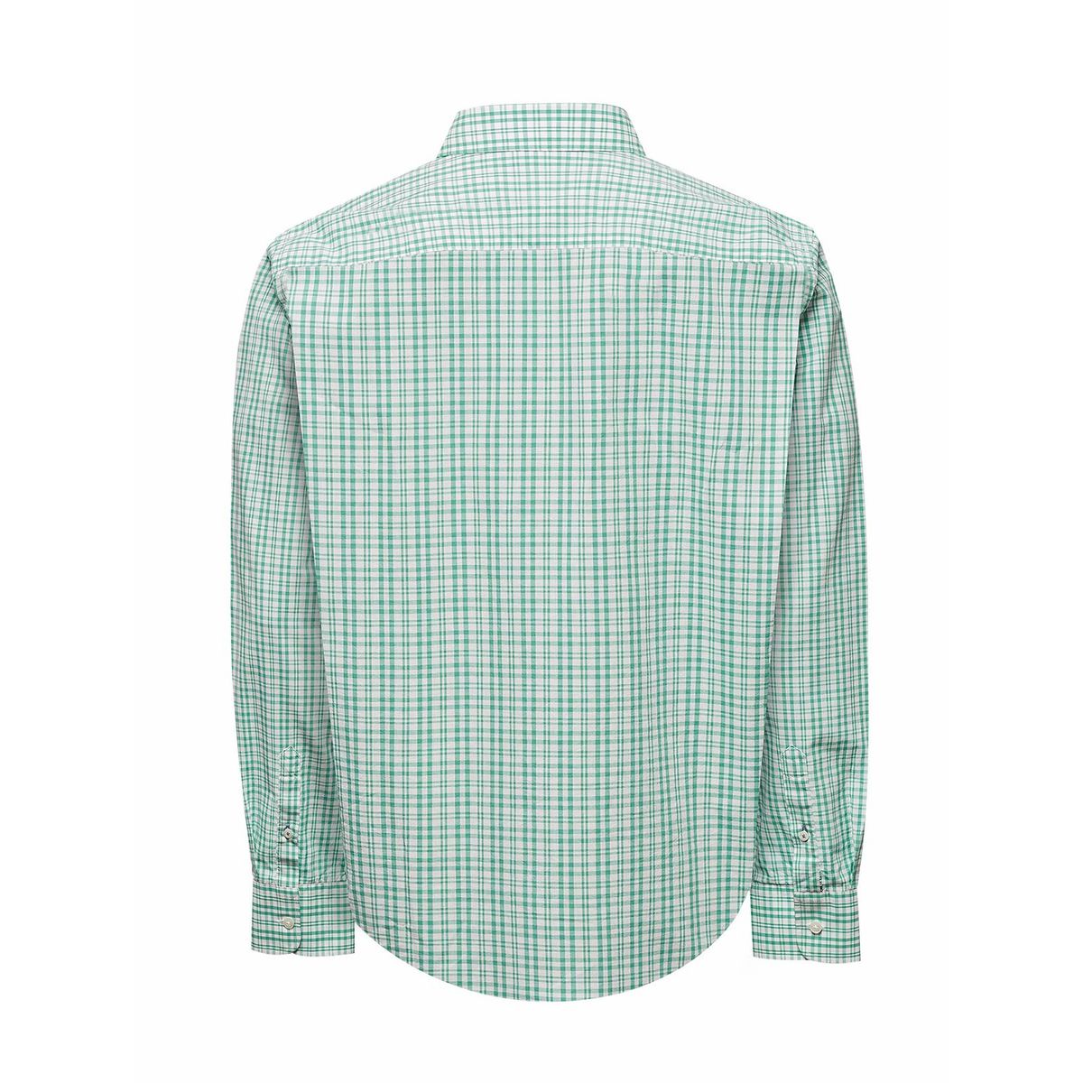 ROCKFORD - Camisa Algodón Orgánico Hombre Lighter Verde ROCKFORD