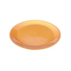 GASTROPLAST - Set Plato De Policarbonato Amarillo 235 Cm