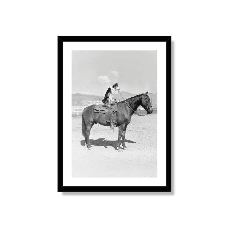 ALCUADRADO - Cuadro Individual Indomable Negro 70x50