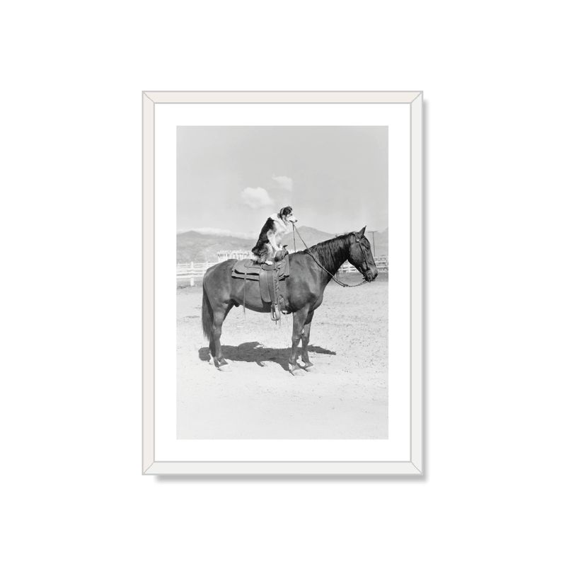 ALCUADRADO - Cuadro Individual Indomable Blanco 70x50