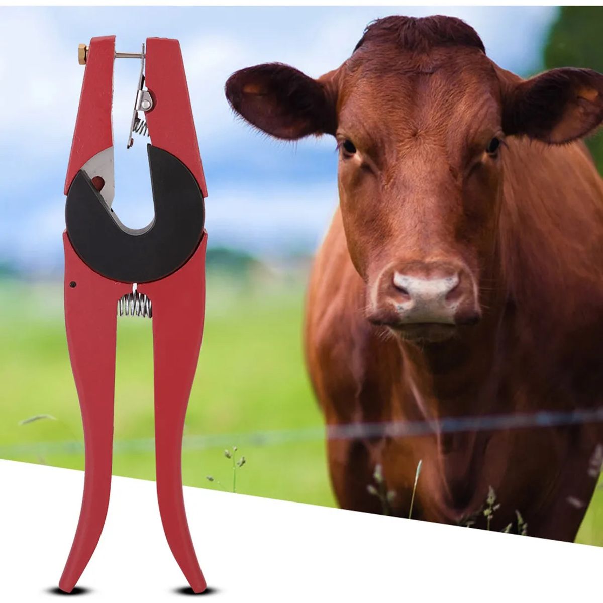 Tenazas Aretes Ganado para Cerdos Vacas  Ovejas, marca PUREPOWER - Foto 2