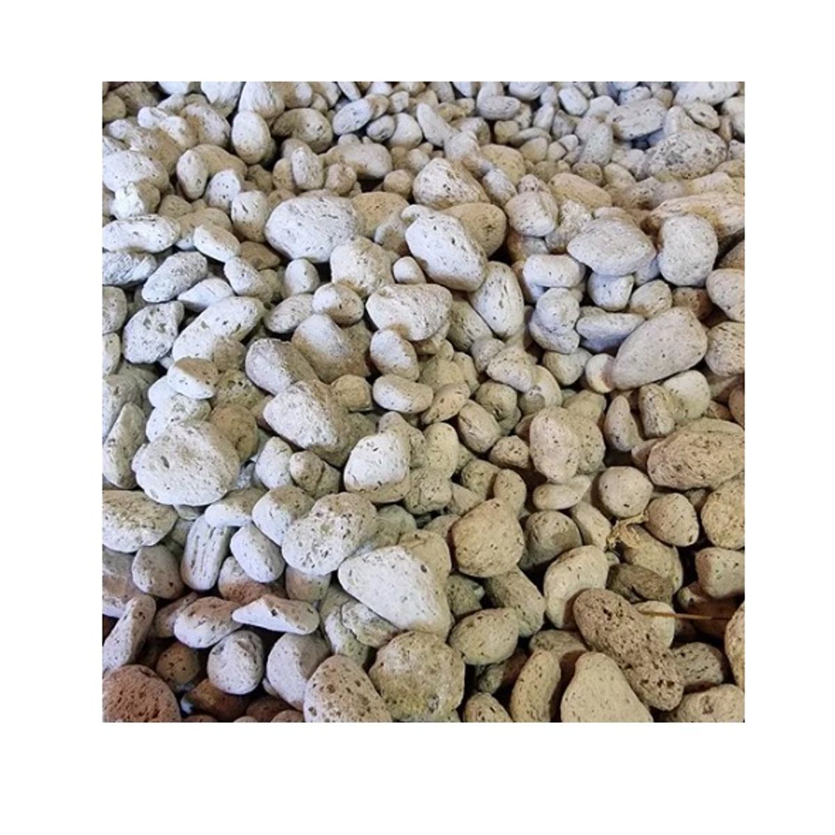 PIEDRA POMEZ PARA SUSTRATO Mediana, marca GENERICO - Foto Principal