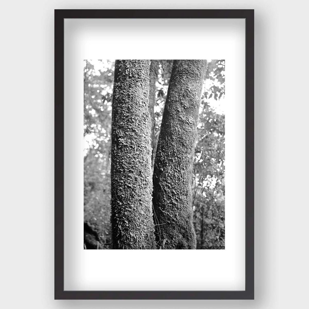 SEBASTIÃN MEJIA - Troncos Madera Negro 60x40