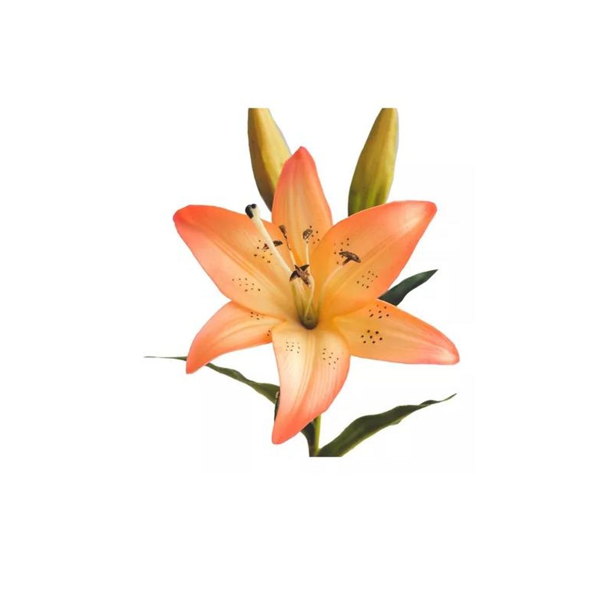 GENERICO - 4 Lilium Naranjo Flores Artificiales 69cm