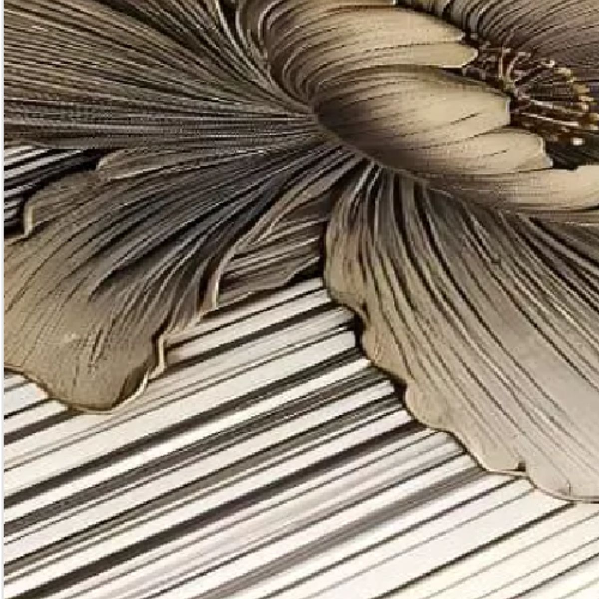 GENERICO - Alfombra Living con Diseños 180x200 cm Diseño 31