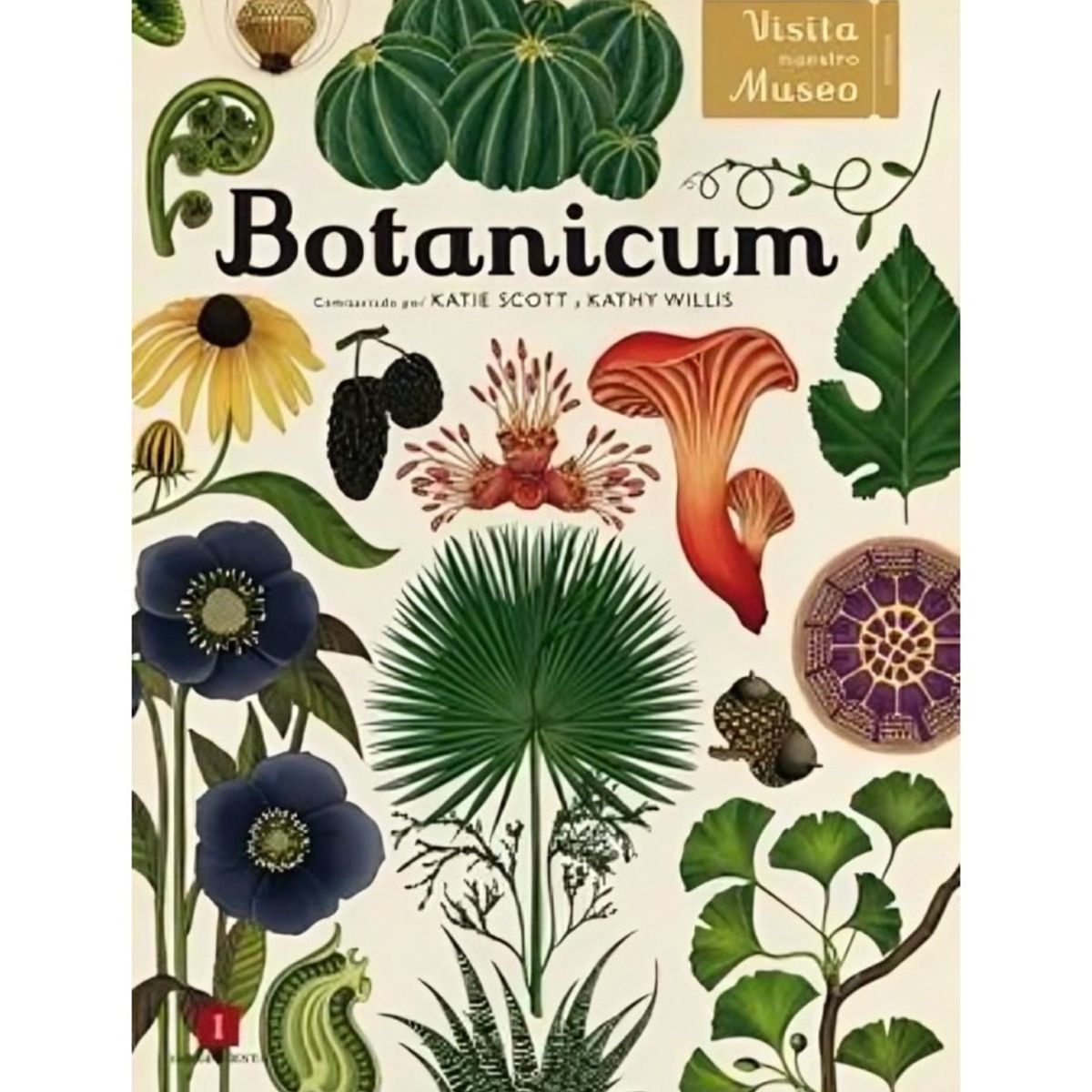 TOP10BOOKS - LIBRO Botanicum - Botanicum