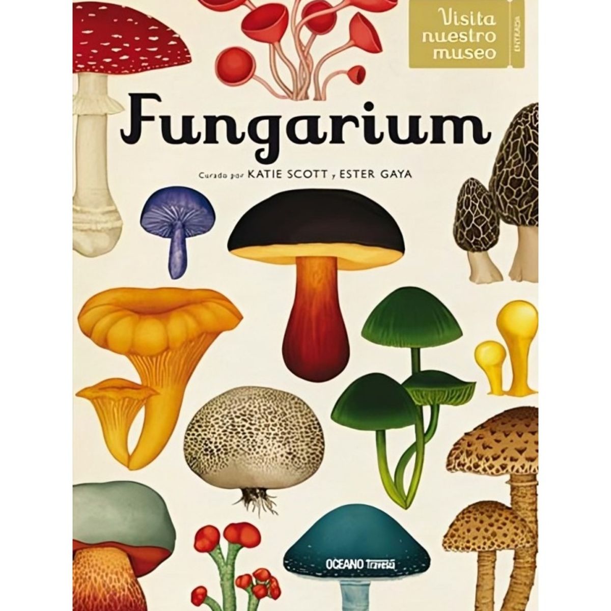 TOP10BOOKS - LIBRO Fungarium - Fungarium