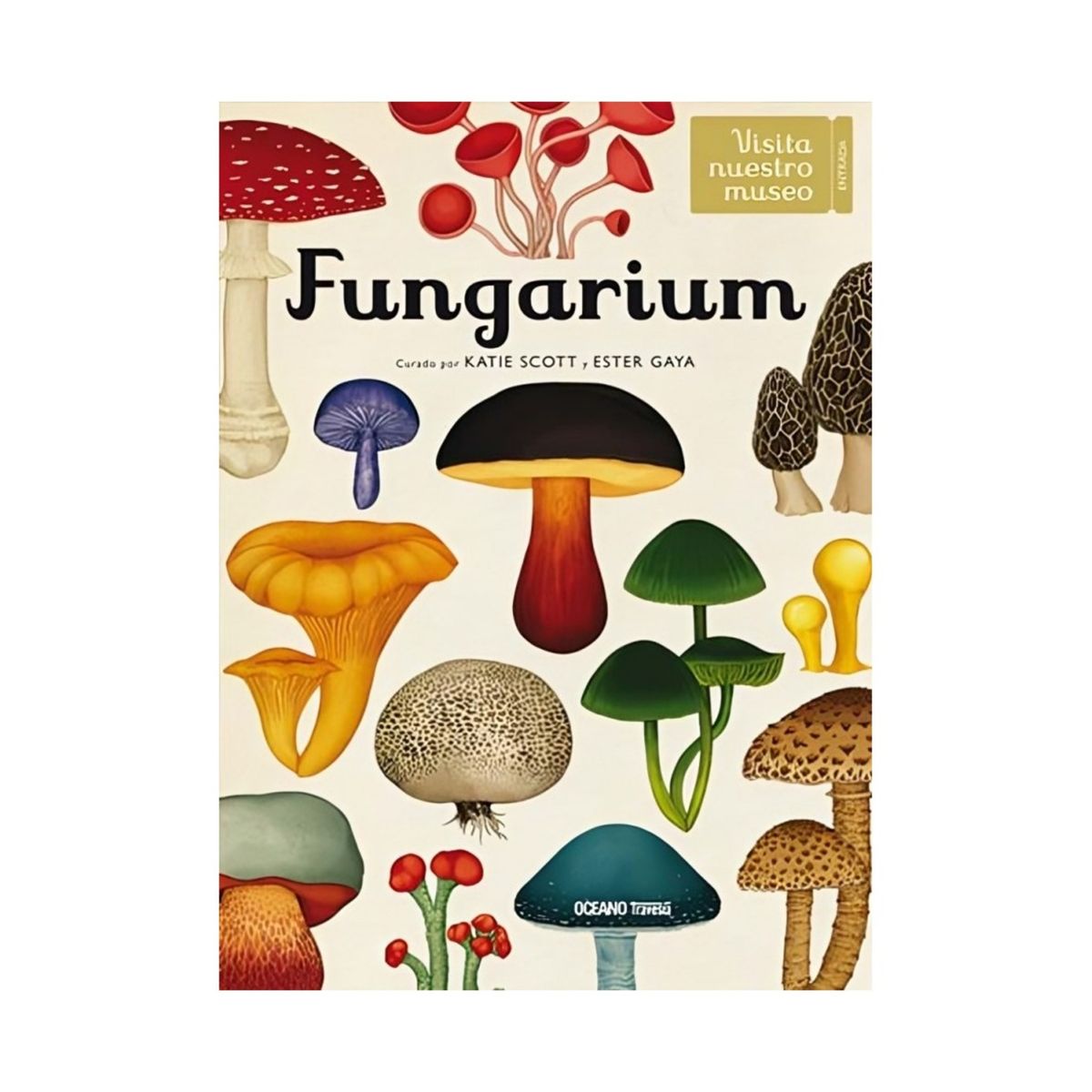 TOP10BOOKS - LIBRO Fungarium - Fungarium