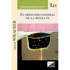 TOP10BOOKS - LIBRO Principio General De La Buena Fe - Principio General De La Buena Fe