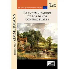 TOP10BOOKS - LIBRO Indemnizacion De Los Daños Contractuales