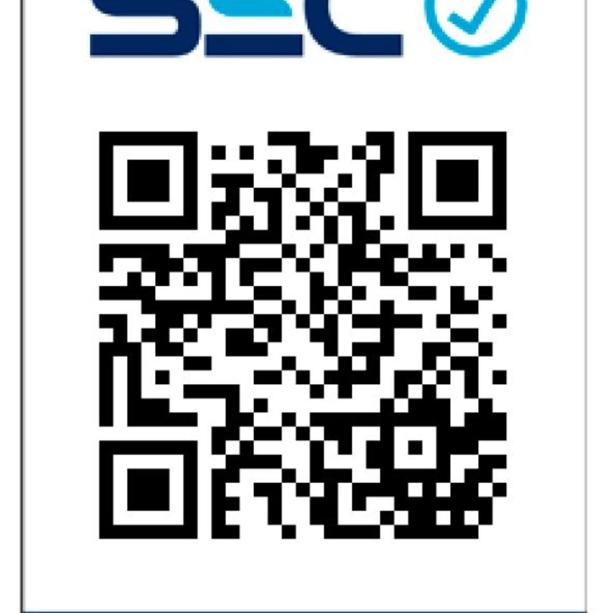 SINDELEN - Secador de pelo SP-2100PI Pro-Ionic