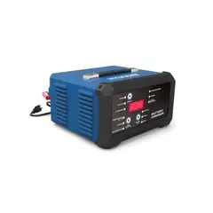 HYUNDAI - Cargador Batería 12v