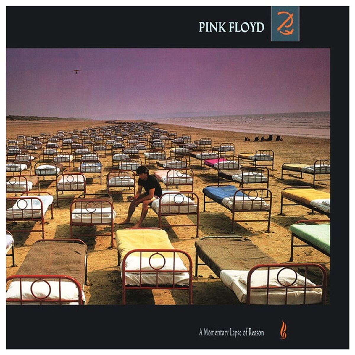 GENERICO - PINK FLOYD - A MOMENTARY LAPSE OF REASON (2LP) / VINILO