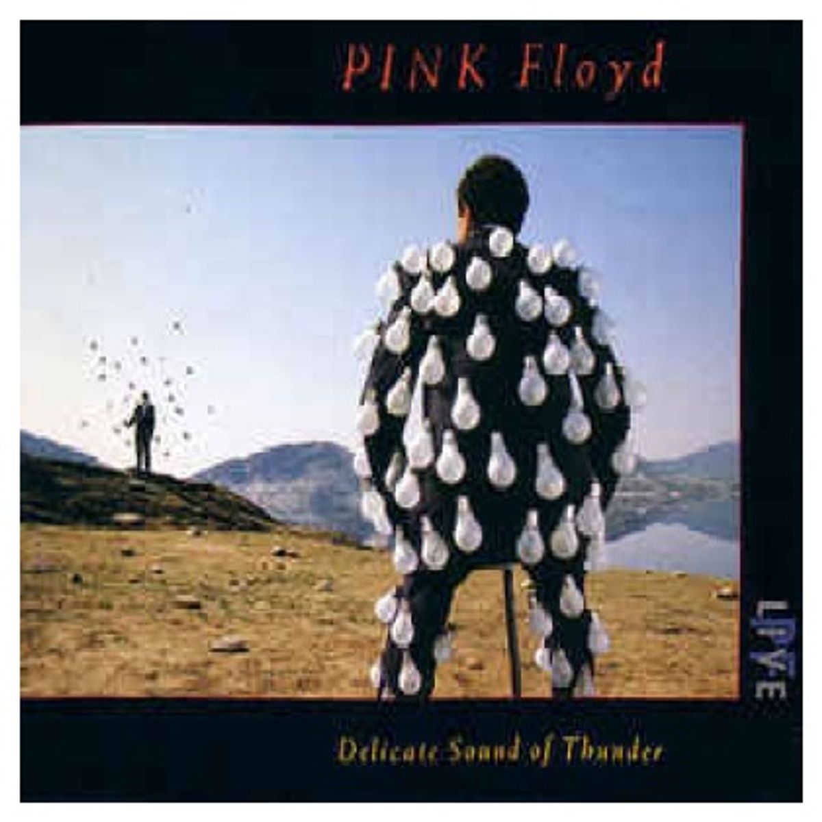 GENERICO - PINK FLOYD - DELICATE SOUND OF THUNDER (2CD) / CD