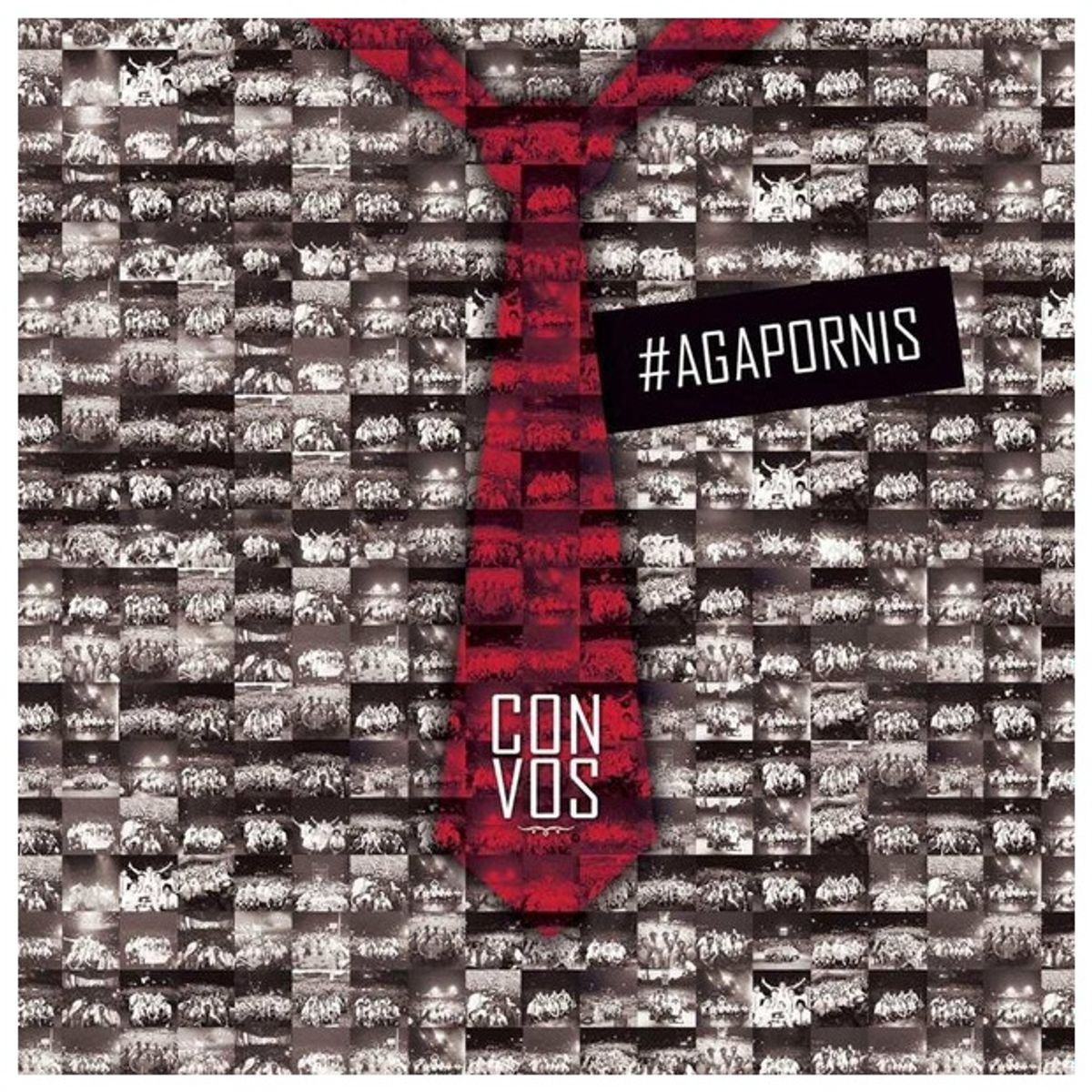 GENERICO - AGAPORNIS - CON VOS / CD