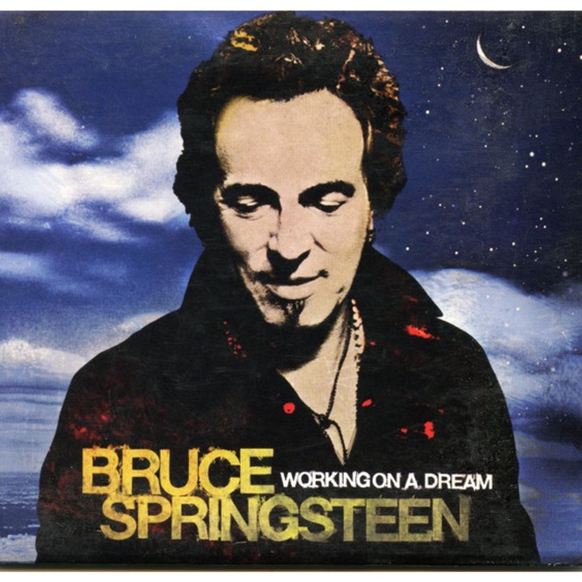GENERICO - BRUCE SPRINGSTEEN - WORKING ON A DREAM / CD