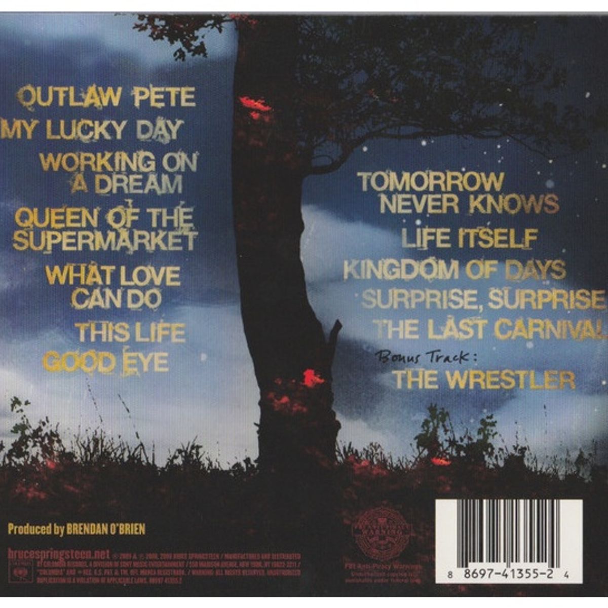 GENERICO - BRUCE SPRINGSTEEN - WORKING ON A DREAM / CD