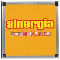 SINERGIA - GRANDES ÉXITOS DEL METAL PÁJARO VINILO