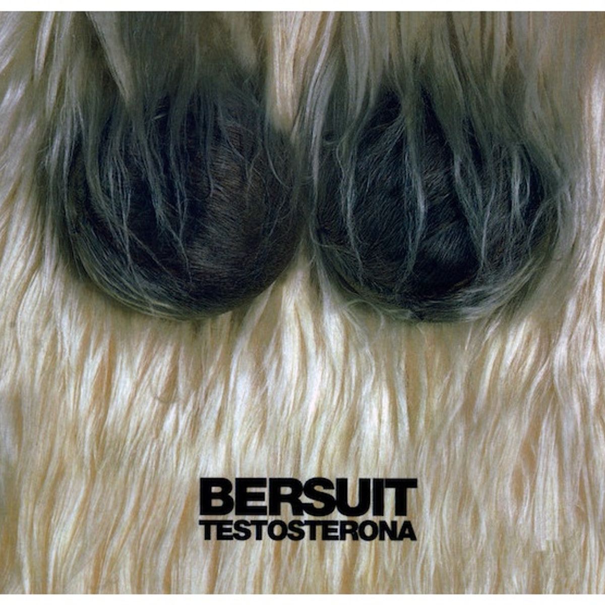 GENERICO - BERSUIT VERGARABAT - TESTOSTERONA (DIGIPACK) / CD