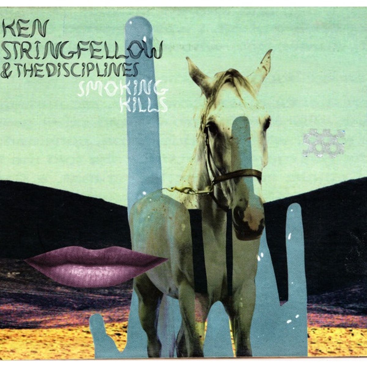 GENERICO - KEN SPRINGFELLOW & THE DISCIPLINES - SMOKING KILLS / CD