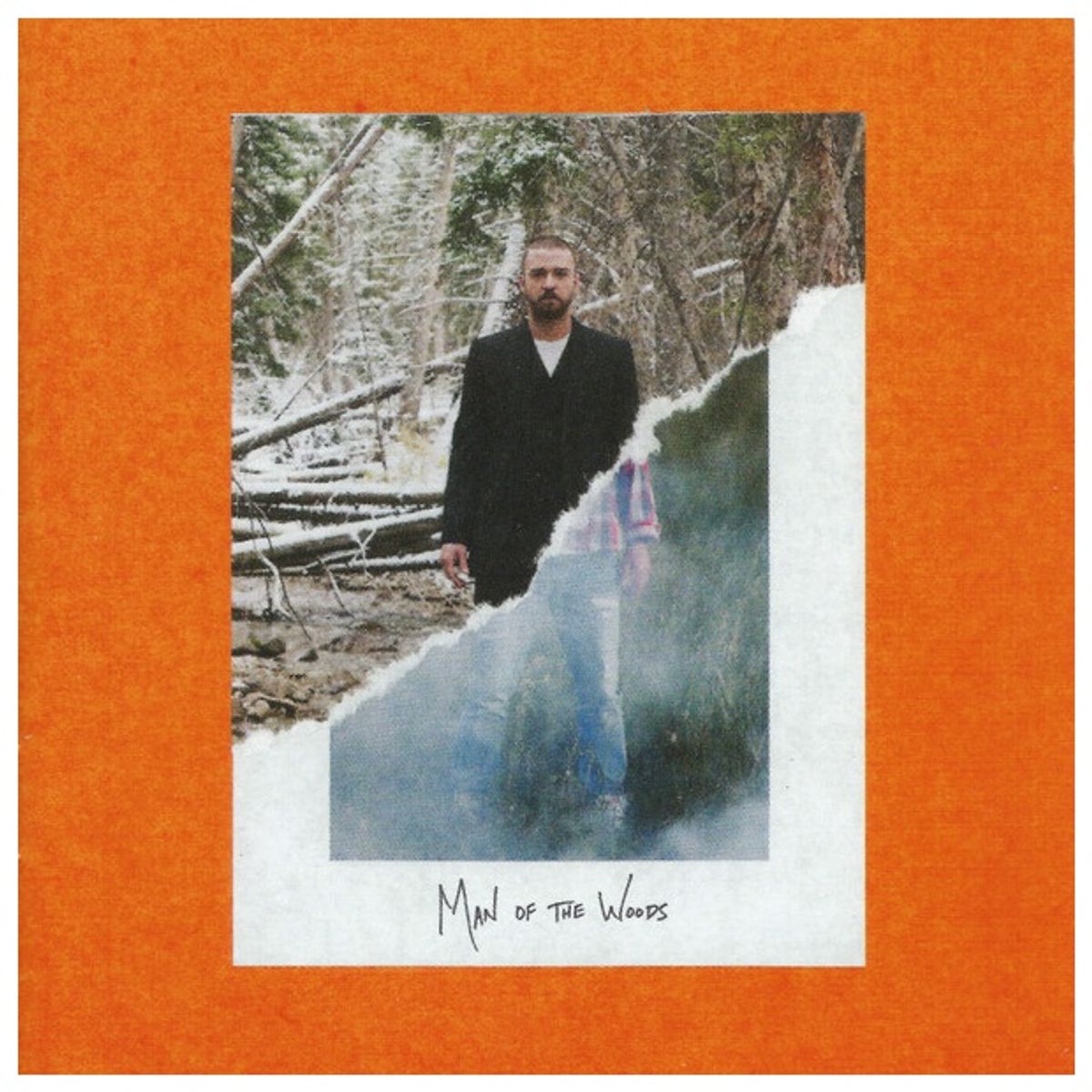 GENERICO - JUSTIN TIMBERLAKE - MAN OF THE WOODS / CD