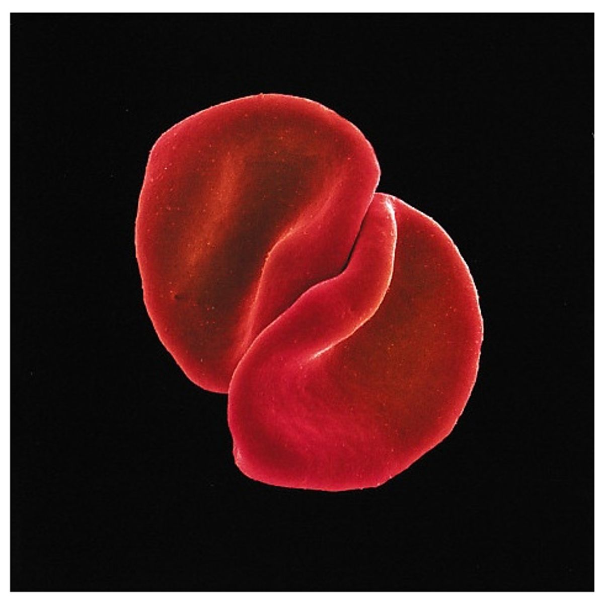 GENERICO - PETER GABRIEL - SCRATCH MY BACK / CD