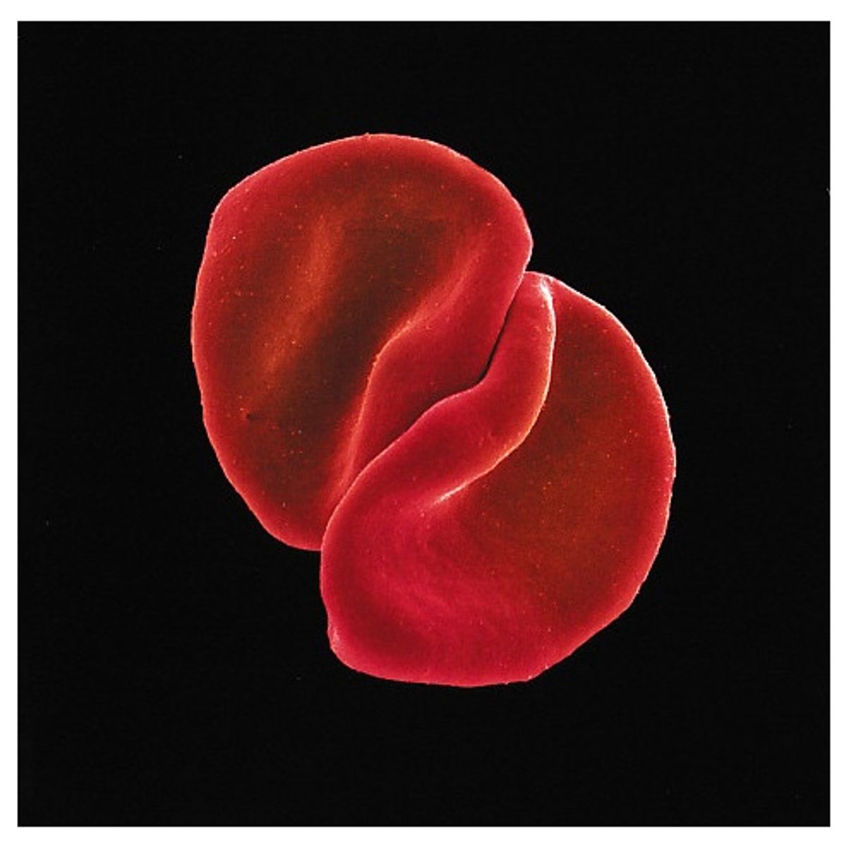 GENERICO - PETER GABRIEL - SCRATCH MY BACK / CD