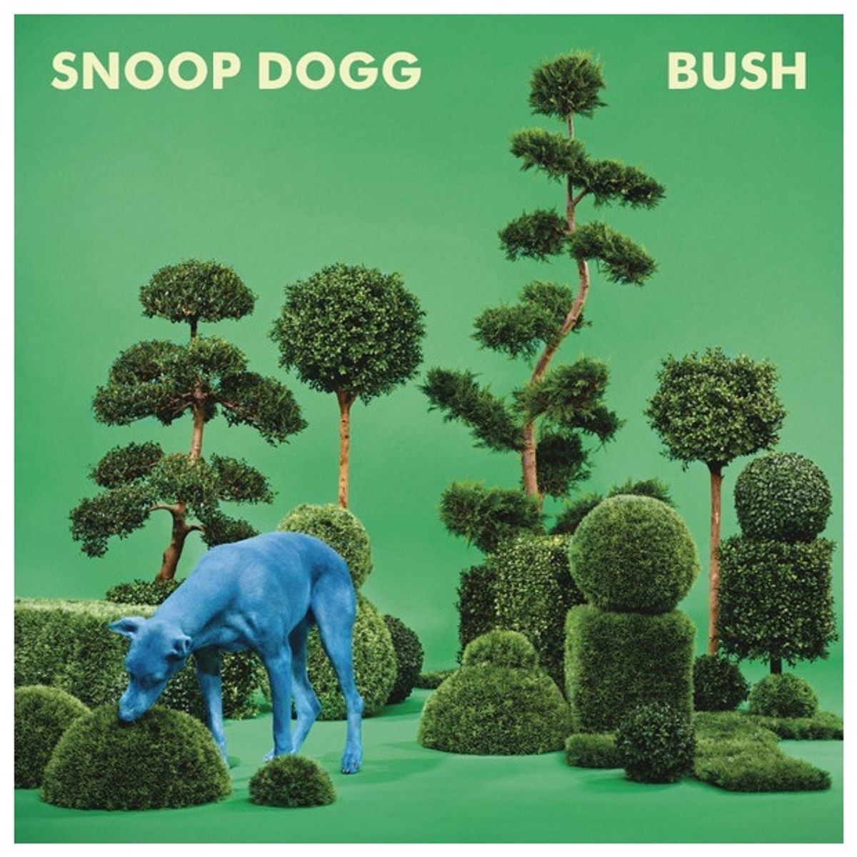 GENERICO - SNOOP DOGG - BUSH / CD
