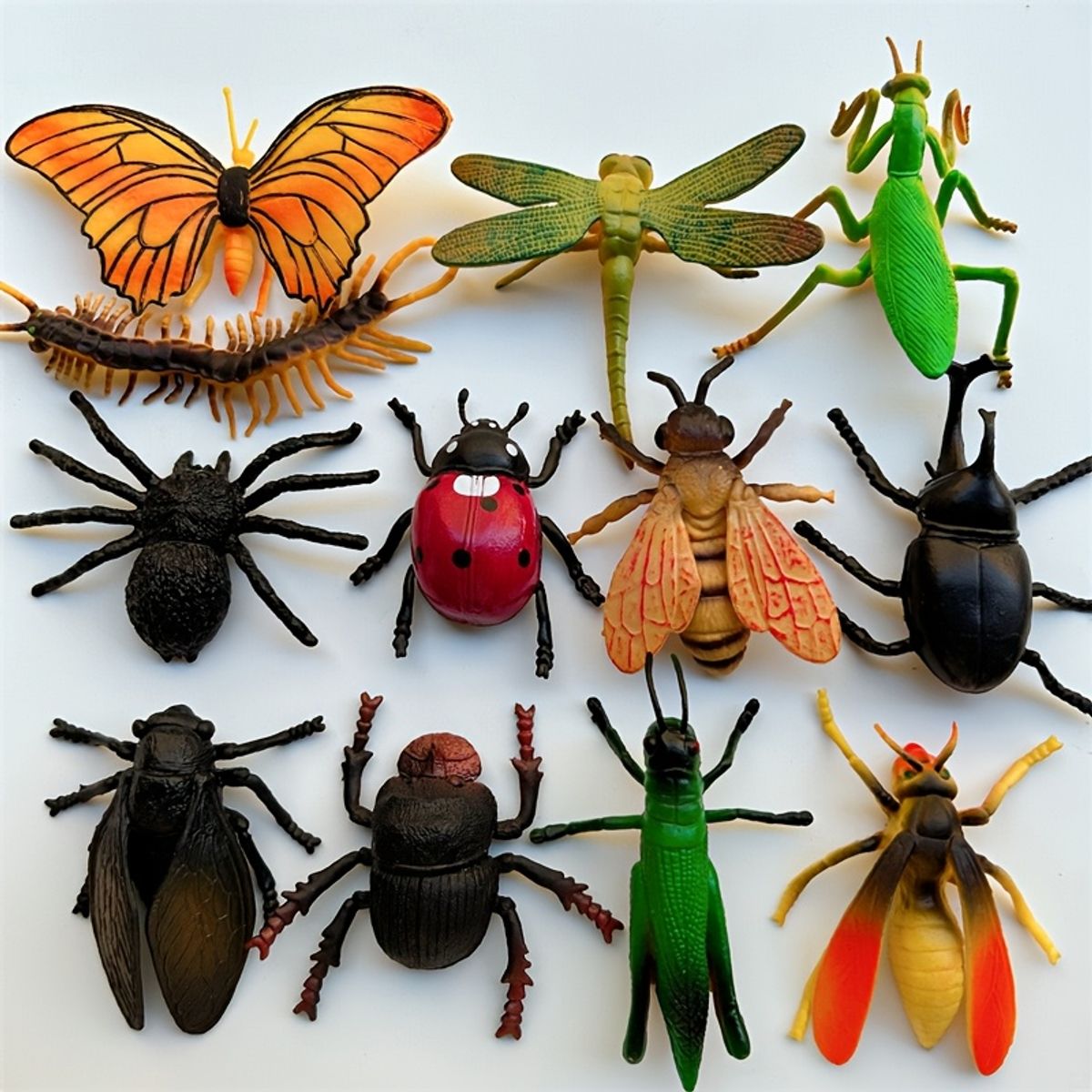 VATYERTY - 12 modelos realistas de insectos