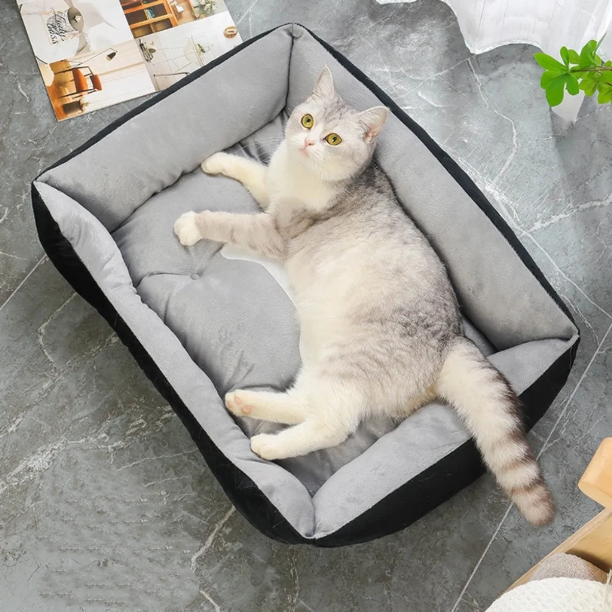 MUNDO MAGIA - Cama Extra Grande Para Perro Forro Suave Color Negra Gris