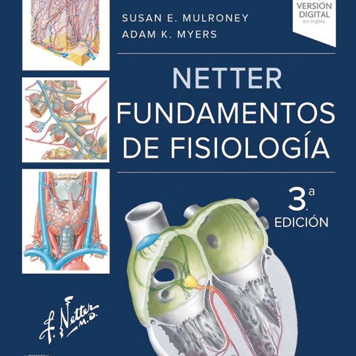 EDITORIAL MEDITERRANEO - Libro Netter Fundamentos de fisiología 3ª Ed.
