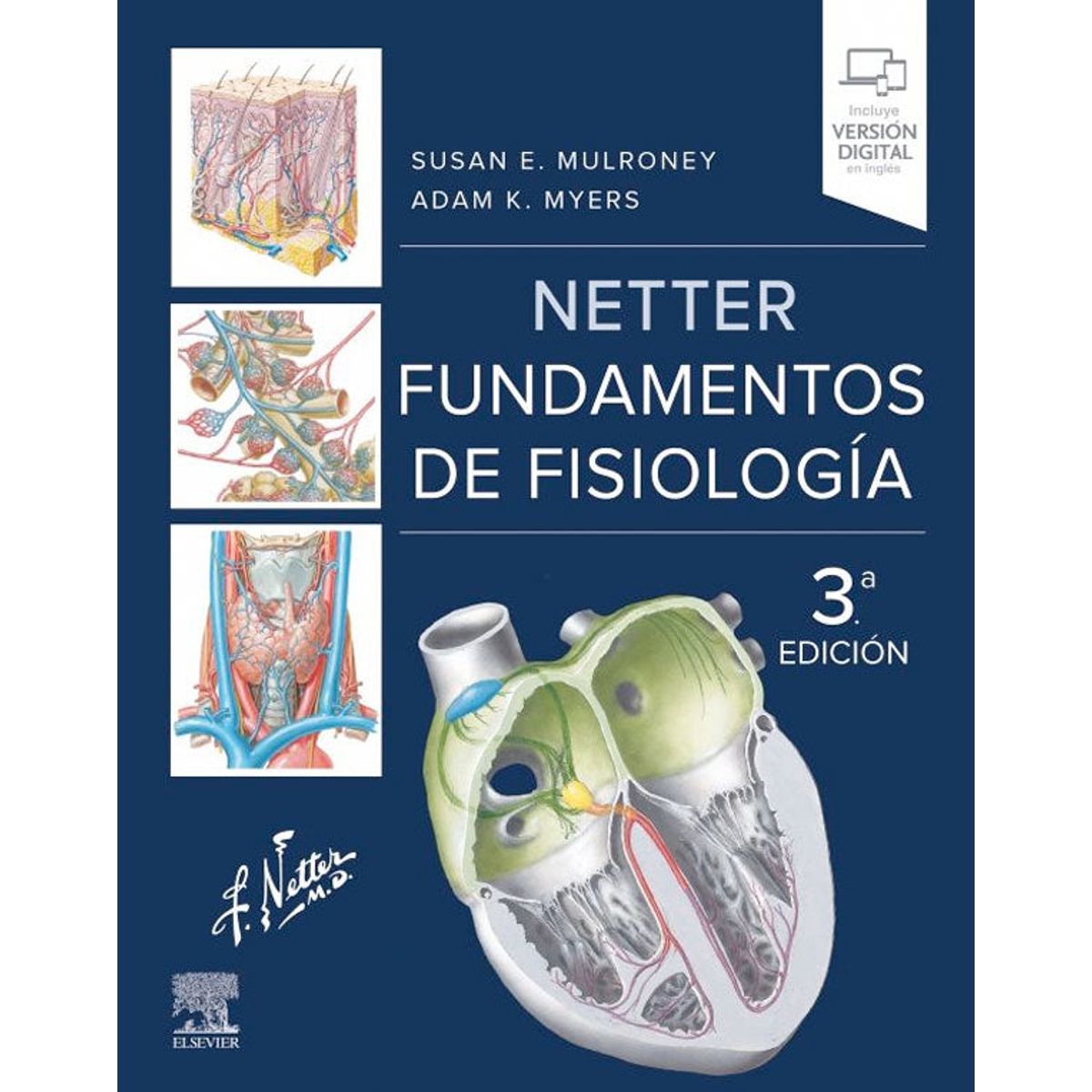 EDITORIAL MEDITERRANEO - Libro Netter Fundamentos de fisiología 3ª Ed.