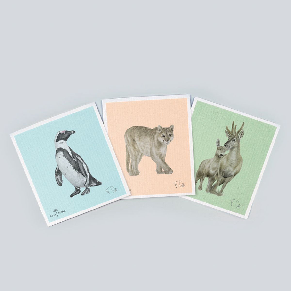 CASA NATIVA - Paños Absorbentes Flo G