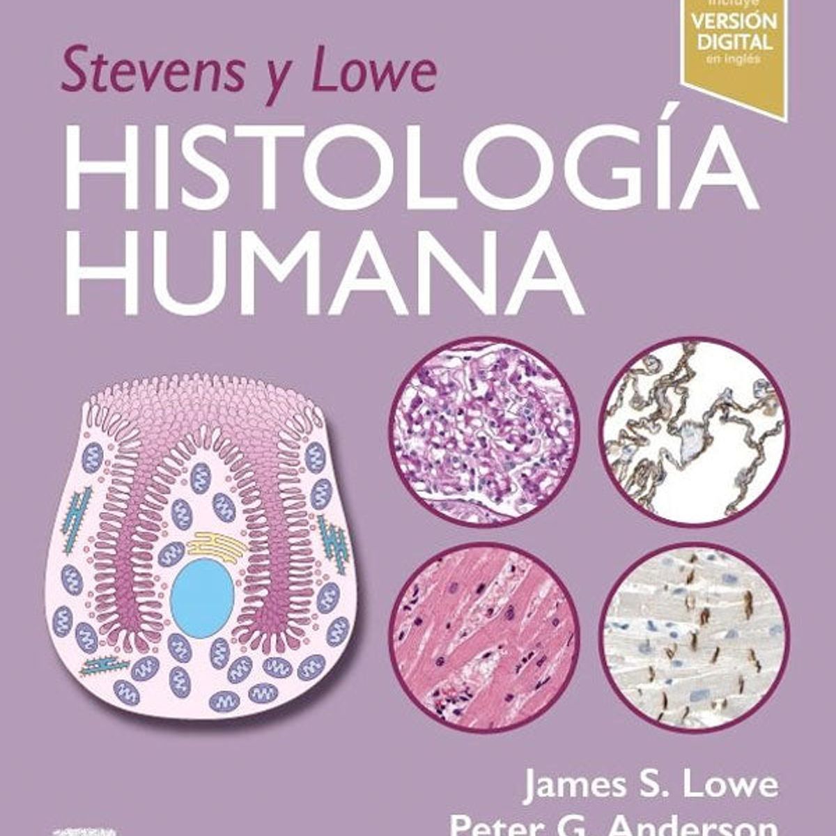 EDITORIAL MEDITERRANEO - Libro Stevens y Lowe. Histología humana 6ª Ed.