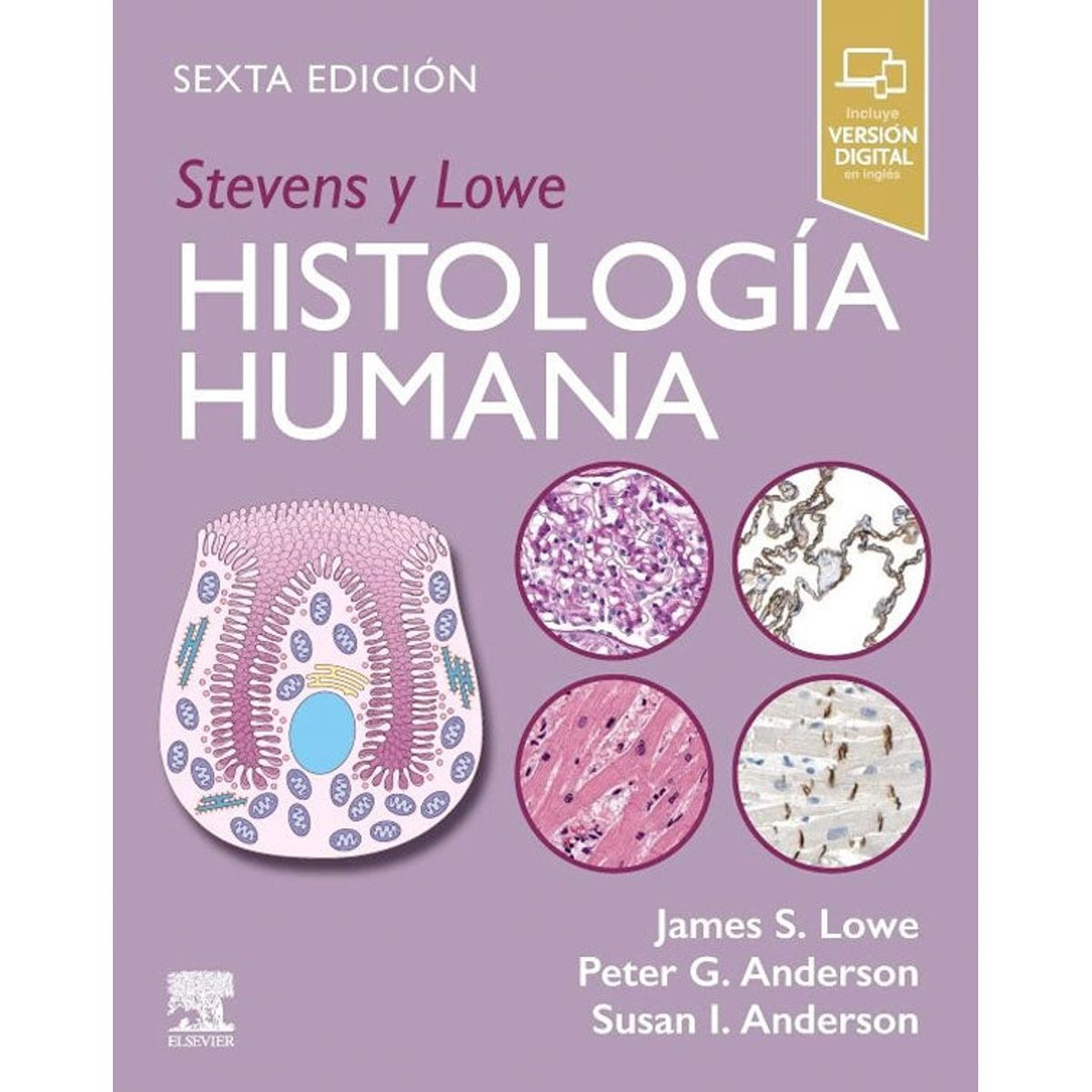 EDITORIAL MEDITERRANEO - Libro Stevens y Lowe. Histología humana 6ª Ed.